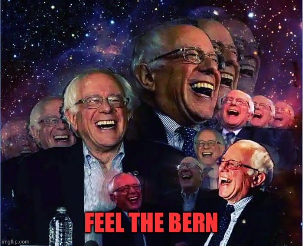 Bernie Sanders | FEEL THE BERN | image tagged in bernie sanders | made w/ Imgflip meme maker