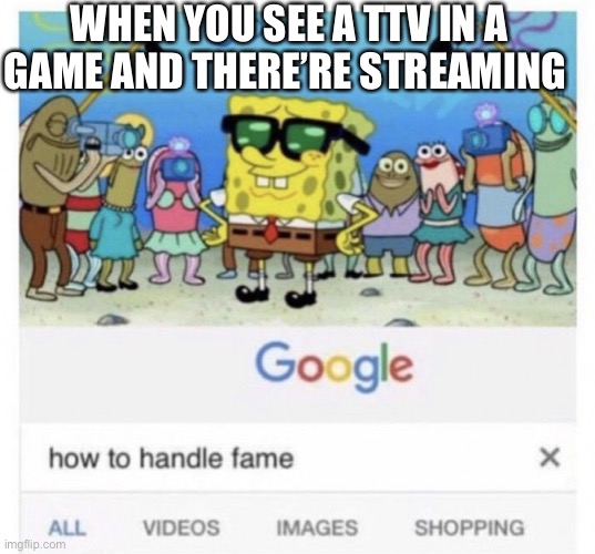 This happened to me | WHEN YOU SEE A TTV IN A GAME AND THERE’RE STREAMING | image tagged in how to handle fame,memes | made w/ Imgflip meme maker