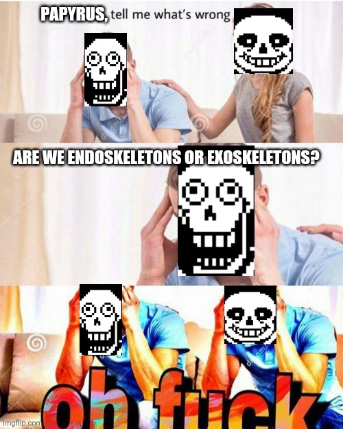 Sorry i couldn't find the exact pictures i needed | PAPYRUS, ARE WE ENDOSKELETONS OR EXOSKELETONS? | image tagged in honey tell me what's wrong,undertale,sans,papyrus,stop reading the tags | made w/ Imgflip meme maker