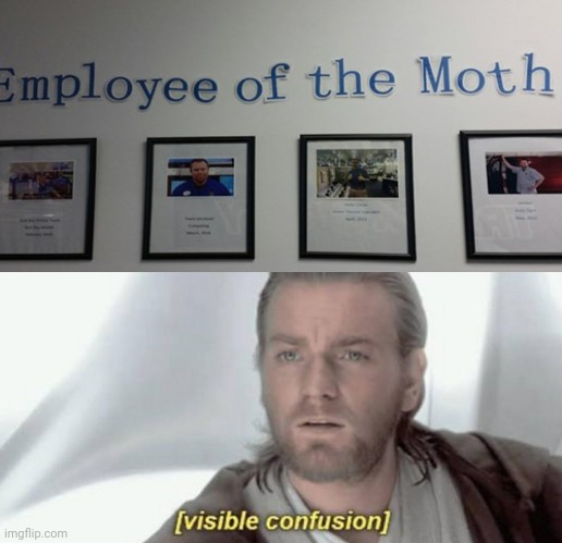 More like Employee of the Month | image tagged in visible confusion,you had one job,you had one job just the one,funny,memes,employee of the month | made w/ Imgflip meme maker