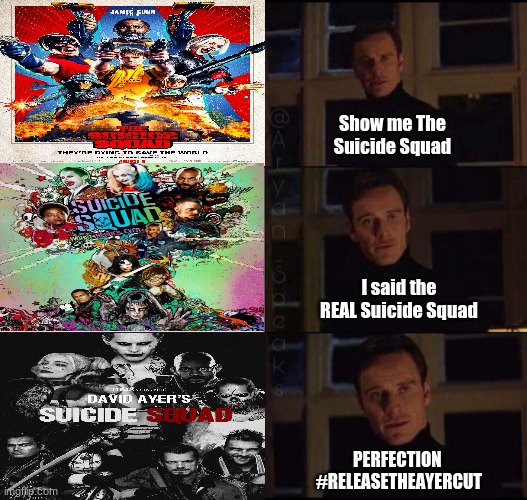 #ReleaseTheAyerCut meme | Show me The Suicide Squad; I said the REAL Suicide Squad; PERFECTION 
#RELEASETHEAYERCUT | image tagged in show me the real | made w/ Imgflip meme maker