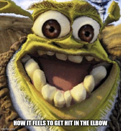 Shrek | HOW IT FEELS TO GET HIT IN THE ELBOW | image tagged in shrek | made w/ Imgflip meme maker