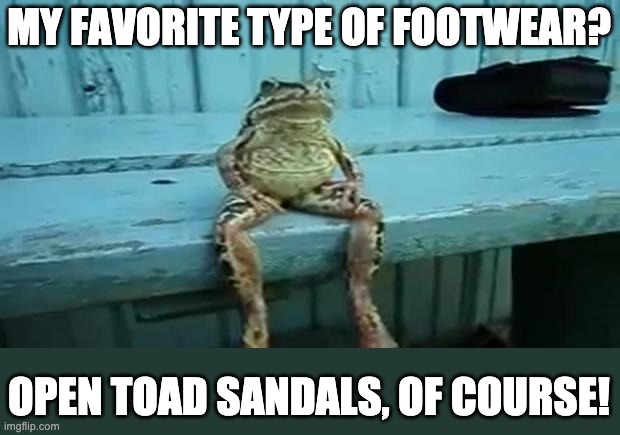 footwear | MY FAVORITE TYPE OF FOOTWEAR? OPEN TOAD SANDALS, OF COURSE! | image tagged in toad | made w/ Imgflip meme maker