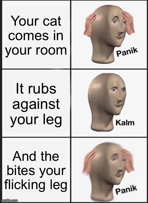 Cat | Your cat comes in your room; It rubs against your leg; And the bites your flicking leg | image tagged in memes,panik kalm panik,cat bite | made w/ Imgflip meme maker