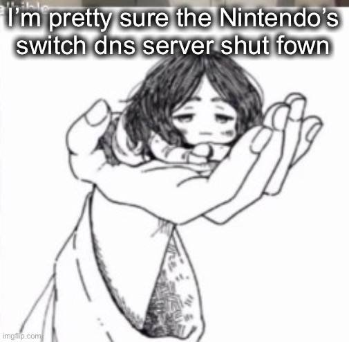 *down (more like my grammar shut down) | I’m pretty sure the Nintendo’s switch dns server shut down | image tagged in mini pieck | made w/ Imgflip meme maker