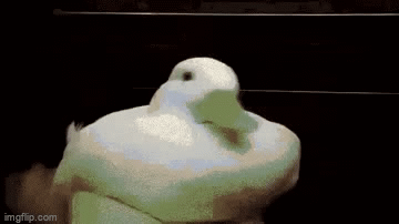 dancing duck - Imgflip