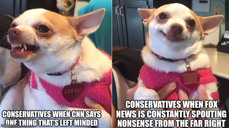 Lily Lu | CONSERVATIVES WHEN FOX NEWS IS CONSTANTLY SPOUTING NONSENSE FROM THE FAR RIGHT; CONSERVATIVES WHEN CNN SAYS ONE THING THAT’S LEFT MINDED | image tagged in lily lu,conservatives,cnn,fox news,oh wow are you actually reading these tags | made w/ Imgflip meme maker