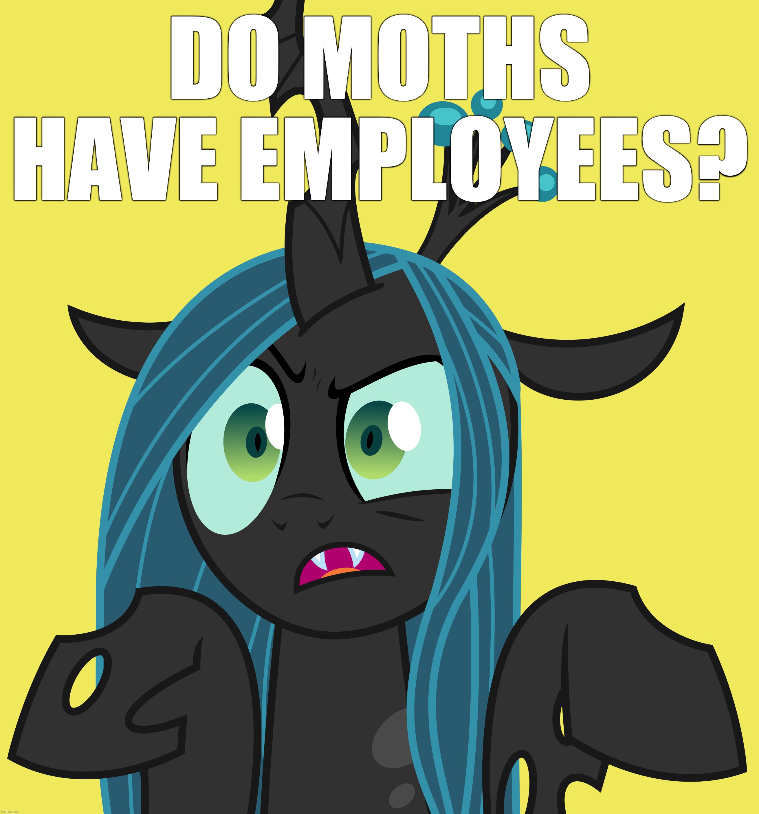 DO MOTHS HAVE EMPLOYEES? | made w/ Imgflip meme maker