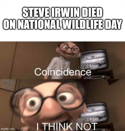 Today marks the 15th aniversery. | STEVE IRWIN DIED ON NATIONAL WILDLIFE DAY | image tagged in coincidence i think not | made w/ Imgflip meme maker