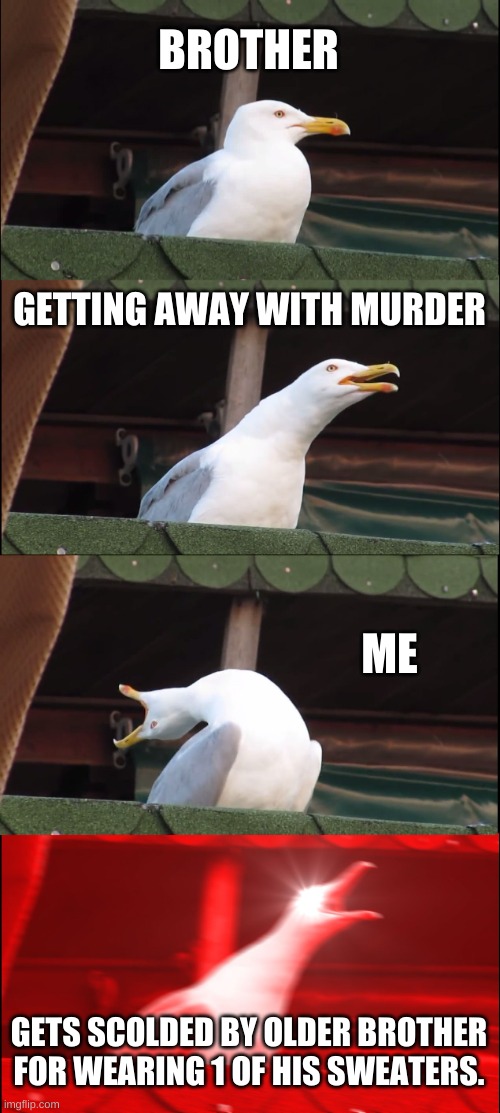 Inhaling Seagull | BROTHER; GETTING AWAY WITH MURDER; ME; GETS SCOLDED BY OLDER BROTHER FOR WEARING 1 OF HIS SWEATERS. | image tagged in memes,inhaling seagull | made w/ Imgflip meme maker
