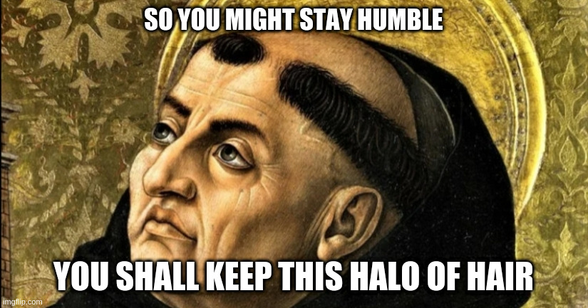 monk | SO YOU MIGHT STAY HUMBLE; YOU SHALL KEEP THIS HALO OF HAIR | image tagged in monk | made w/ Imgflip meme maker
