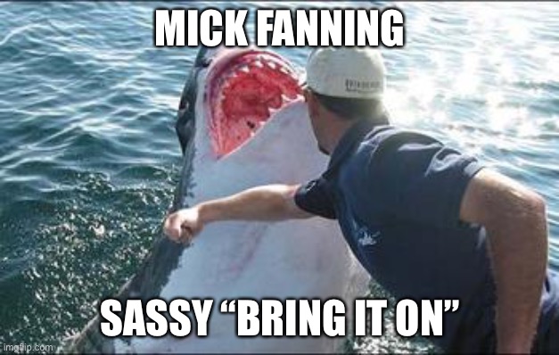 Shark punch | MICK FANNING; SASSY “BRING IT ON” | image tagged in shark punch | made w/ Imgflip meme maker
