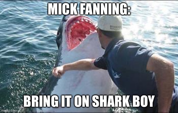 Shark punch | MICK FANNING:; BRING IT ON SHARK BOY | image tagged in shark punch | made w/ Imgflip meme maker