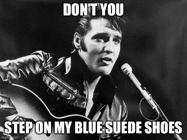 Leather Elvis | DON’T YOU STEP ON MY BLUE SUEDE SHOES | image tagged in leather elvis | made w/ Imgflip meme maker