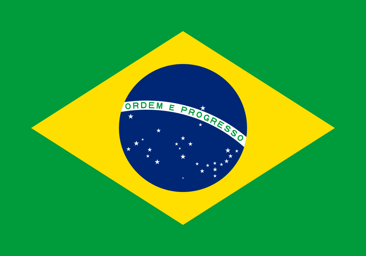 High Quality Flag of Brazil Blank Meme Template