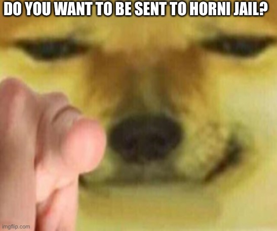 Cheems Pointing At You | DO YOU WANT TO BE SENT TO HORNI JAIL? | image tagged in cheems pointing at you | made w/ Imgflip meme maker