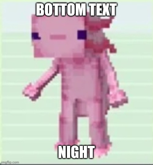 Right text | BOTTOM TEXT; NIGHT | image tagged in axolandl,left text | made w/ Imgflip meme maker