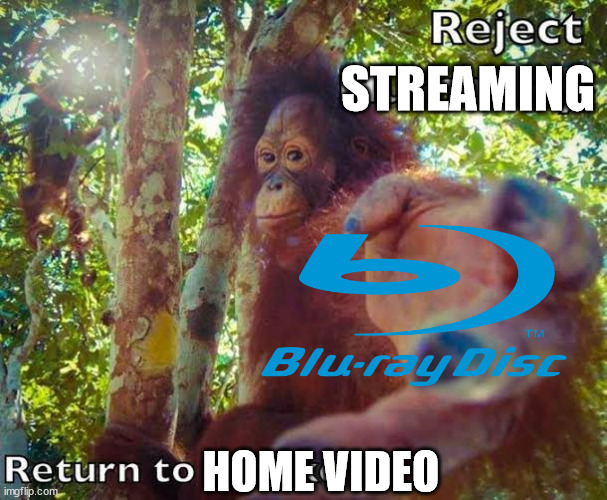 Reject Streaming, Return to Home Video | STREAMING; HOME VIDEO | image tagged in blockbuster,dvd,movies | made w/ Imgflip meme maker