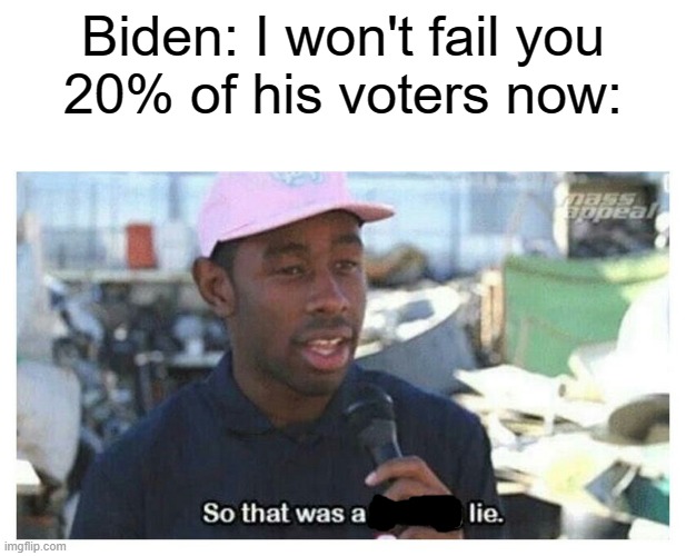 20% of people don't like that voted for him and regret voting for him | Biden: I won't fail you
20% of his voters now: | image tagged in so that was a f---ing lie,biden | made w/ Imgflip meme maker