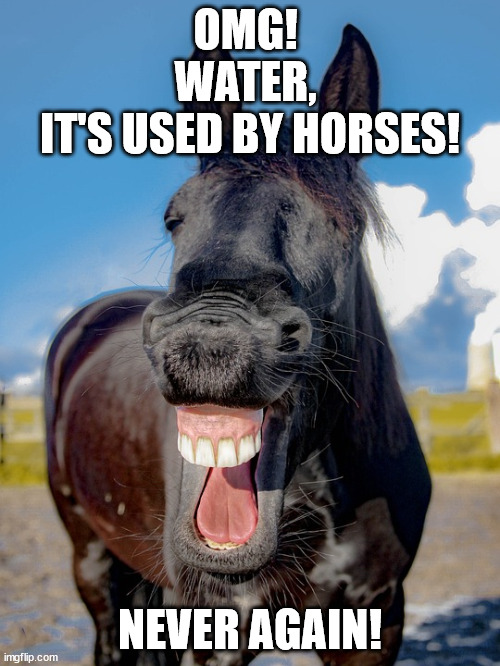 OMG! 

WATER, 

IT'S USED BY HORSES! NEVER AGAIN! | made w/ Imgflip meme maker