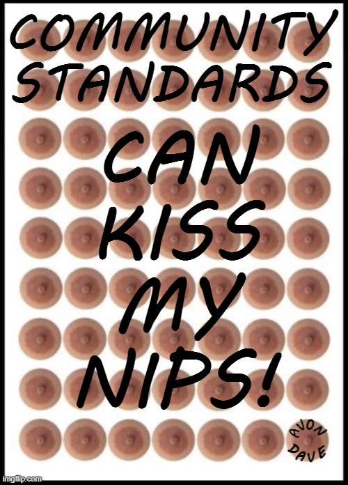 KISS MY NIPS | COMMUNITY STANDARDS; CAN
KISS
MY
NIPS! O; V; N; A; D; E; A; V | image tagged in facebook,community standards,fb jail,zuckerberg,fb | made w/ Imgflip meme maker