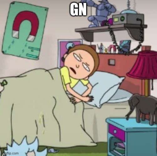 Morty bedtime realisation | GN | image tagged in morty bedtime realisation | made w/ Imgflip meme maker