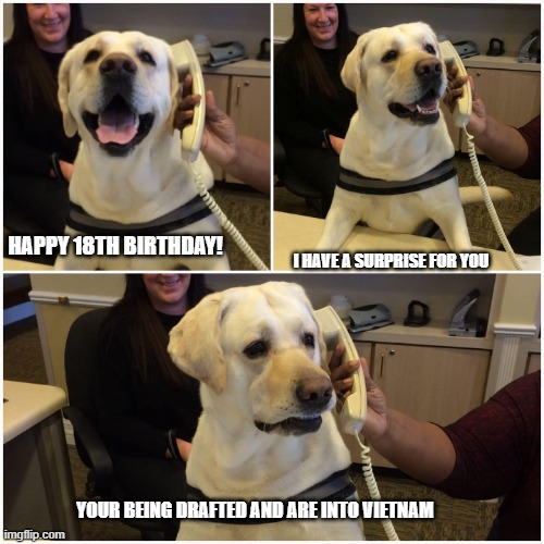 Vietnam dog flashbacks | HAPPY 18TH BIRTHDAY! I HAVE A SURPRISE FOR YOU; YOUR BEING DRAFTED AND ARE INTO VIETNAM | image tagged in dog on phone,vietnam,vietnam flashbacks | made w/ Imgflip meme maker