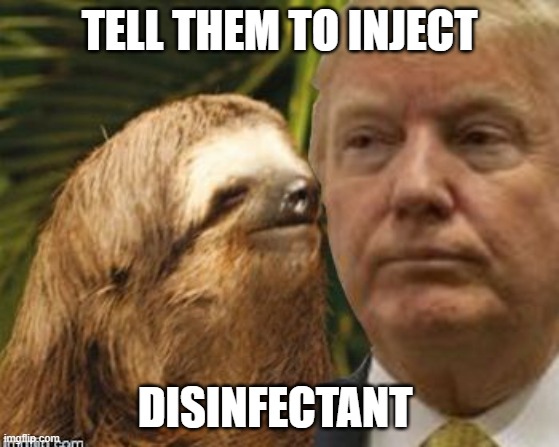 Political advice sloth | TELL THEM TO INJECT; DISINFECTANT | image tagged in political advice sloth | made w/ Imgflip meme maker