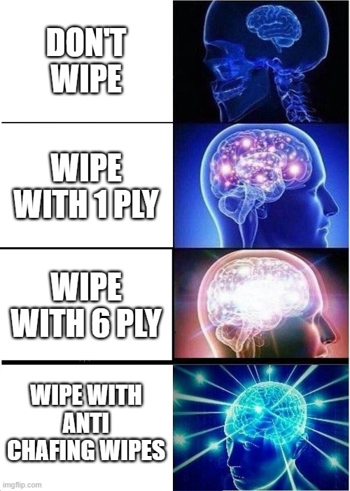 Expanding Brain Meme | DON'T WIPE; WIPE WITH 1 PLY; WIPE WITH 6 PLY; WIPE WITH ANTI CHAFING WIPES | image tagged in memes,expanding brain | made w/ Imgflip meme maker
