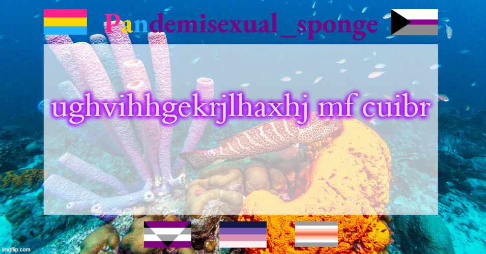 Cas is too much kjhgbiywehtgflw | ughvihhgekrjlhaxhj mf cuibr | image tagged in pandemisexual_sponge temp | made w/ Imgflip meme maker