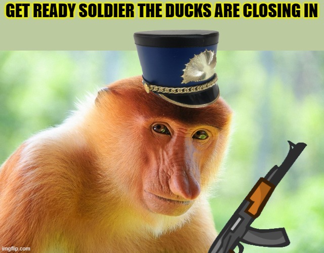 U heard Him get ready | GET READY SOLDIER THE DUCKS ARE CLOSING IN | image tagged in nosacz monkey | made w/ Imgflip meme maker