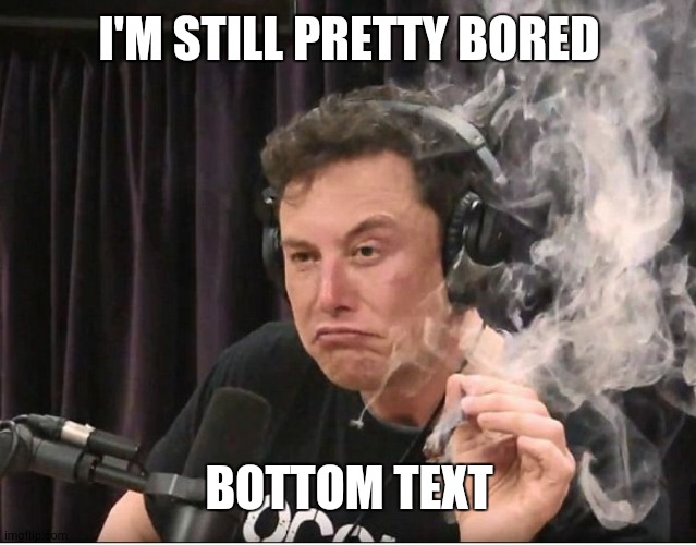 Elon Musk smoking a joint | I'M STILL PRETTY BORED; BOTTOM TEXT | image tagged in elon musk smoking a joint | made w/ Imgflip meme maker
