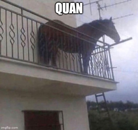 Juan | QUAN | image tagged in juan | made w/ Imgflip meme maker