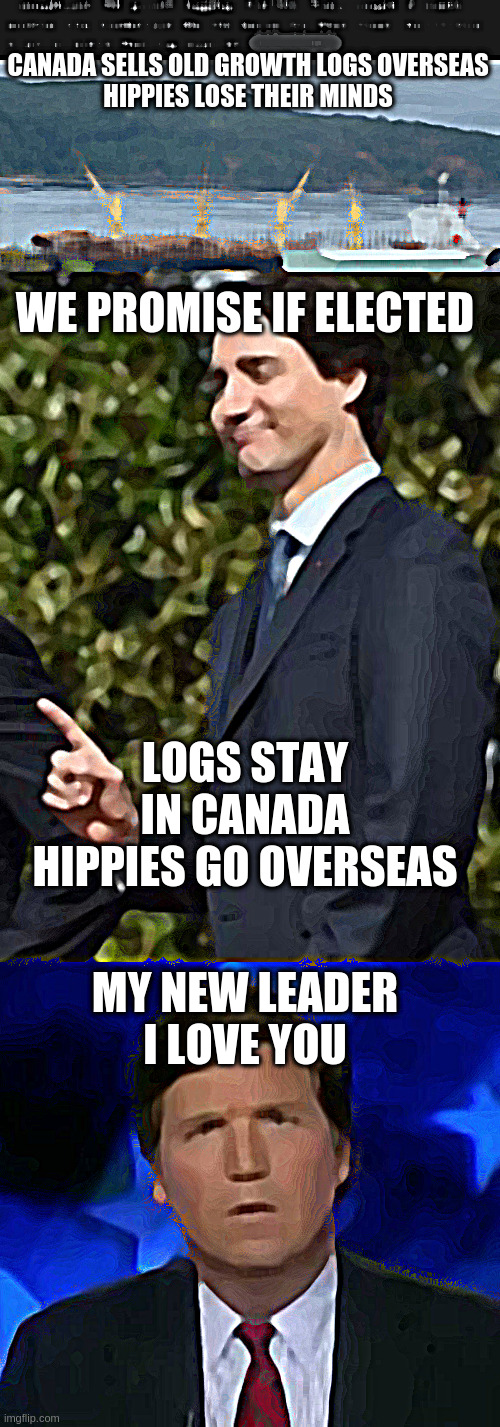 chew on that | CANADA SELLS OLD GROWTH LOGS OVERSEAS
HIPPIES LOSE THEIR MINDS; WE PROMISE IF ELECTED; LOGS STAY IN CANADA
HIPPIES GO OVERSEAS; MY NEW LEADER I LOVE YOU | image tagged in one thing,confused tucker carlson | made w/ Imgflip meme maker