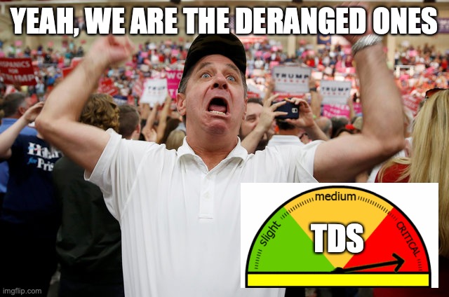 Trump Supporter Triggered | YEAH, WE ARE THE DERANGED ONES TDS | image tagged in trump supporter triggered | made w/ Imgflip meme maker