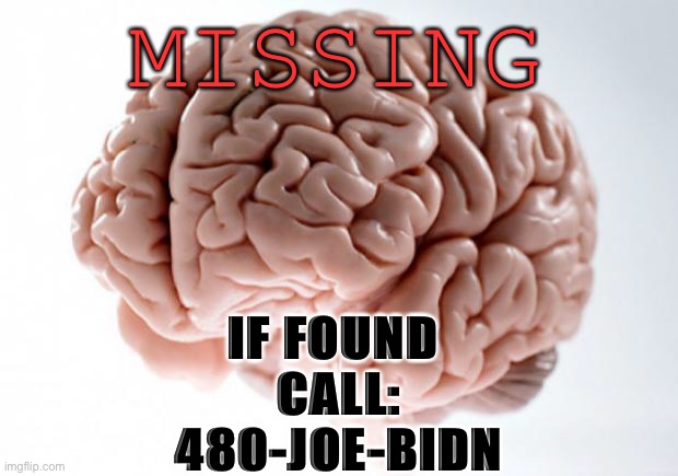 Scumbag Brain | MISSING; IF FOUND 
CALL:
480-JOE-BIDN | image tagged in scumbag brain | made w/ Imgflip meme maker