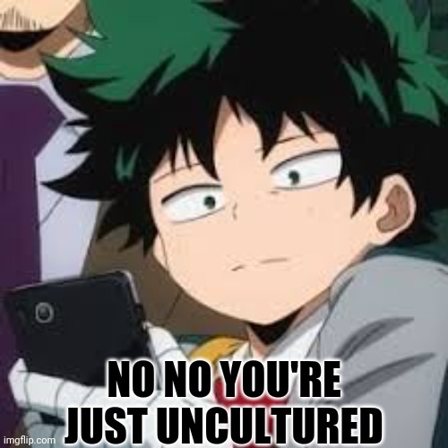 Deku dissapointed | NO NO YOU'RE JUST UNCULTURED | image tagged in deku dissapointed | made w/ Imgflip meme maker