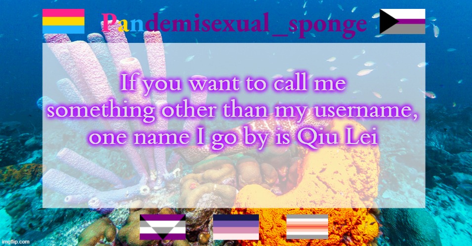 E | If you want to call me something other than my username, one name I go by is Qiu Lei | image tagged in pandemisexual_sponge temp,demisexual_sponge | made w/ Imgflip meme maker