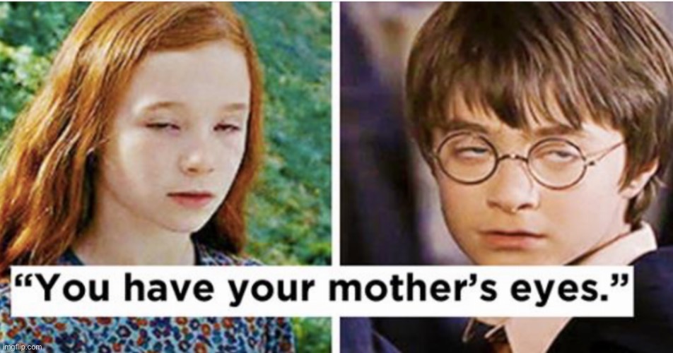 -.- | image tagged in harry potter | made w/ Imgflip meme maker