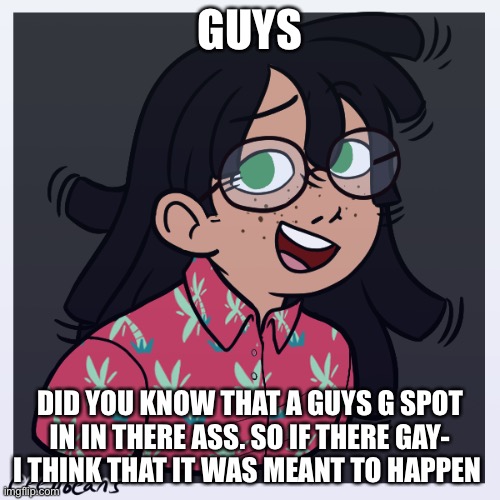 like seriously if guys aren’t supposed to be gay why not just put the g spot in there dicks | GUYS; DID YOU KNOW THAT A GUYS G SPOT IN IN THERE ASS. SO IF THERE GAY- I THINK THAT IT WAS MEANT TO HAPPEN | image tagged in ayo | made w/ Imgflip meme maker