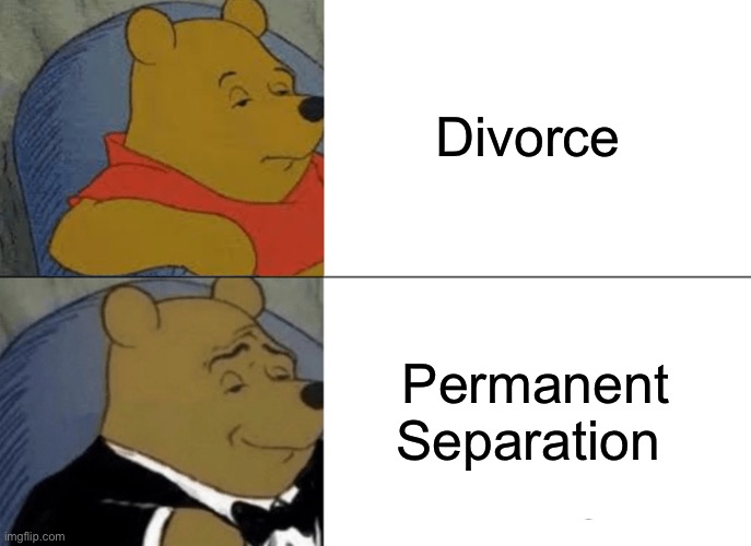 Tuxedo Winnie The Pooh | Divorce; Permanent Separation | image tagged in memes,tuxedo winnie the pooh | made w/ Imgflip meme maker