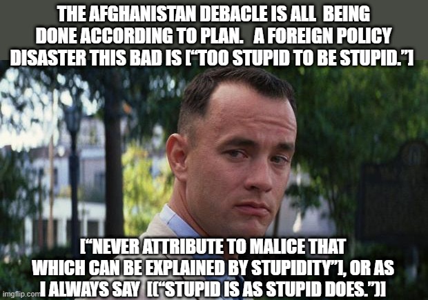Afghanistan Treason |  THE AFGHANISTAN DEBACLE IS ALL  BEING DONE ACCORDING TO PLAN.   A FOREIGN POLICY DISASTER THIS BAD IS [“TOO STUPID TO BE STUPID.”]; [“NEVER ATTRIBUTE TO MALICE THAT WHICH CAN BE EXPLAINED BY STUPIDITY”], OR AS I ALWAYS SAY  [(“STUPID IS AS STUPID DOES.”)] | image tagged in forrest gump,afghanistan,war,joe biden,creepy joe biden,middle east | made w/ Imgflip meme maker