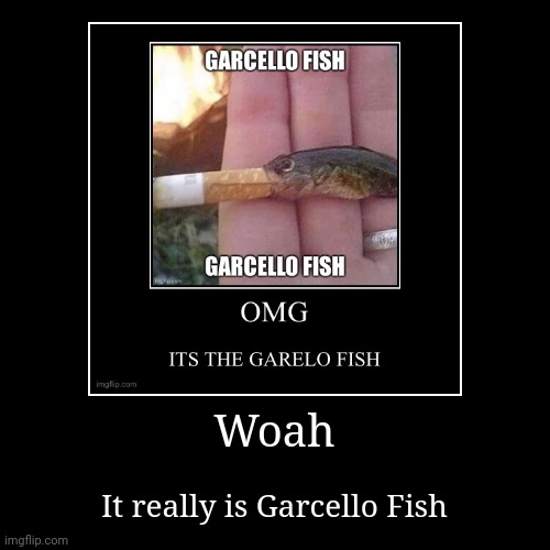 Garcello fish | image tagged in garcello fish | made w/ Imgflip demotivational maker