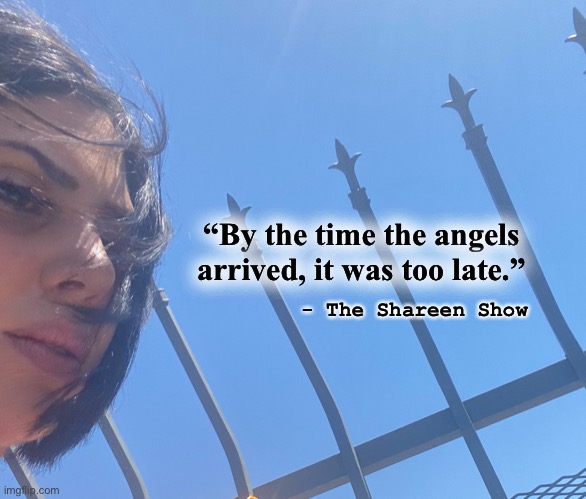 Angels | “By the time the angels arrived, it was too late.”; - The Shareen Show | image tagged in help,angels,health,survivor,fighter,justice | made w/ Imgflip meme maker