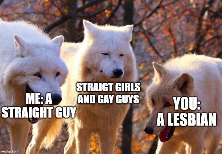 2/3 wolves laugh | ME: A STRAIGHT GUY STRAIGT GIRLS AND GAY GUYS YOU: A LESBIAN | image tagged in 2/3 wolves laugh | made w/ Imgflip meme maker