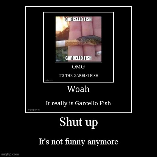 image tagged in funny,demotivationals | made w/ Imgflip demotivational maker