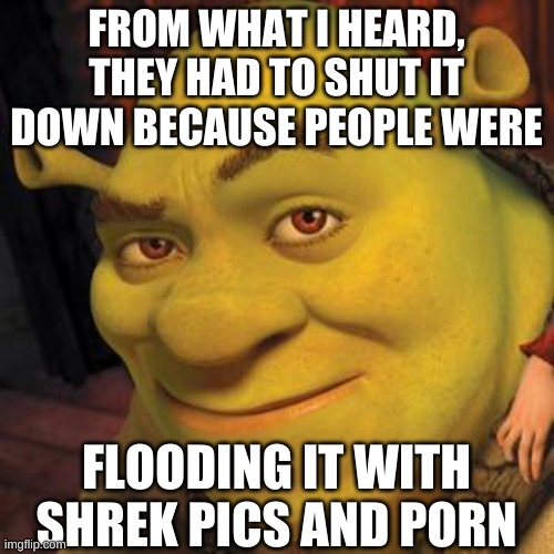 Shrek Sexy Face | FROM WHAT I HEARD, THEY HAD TO SHUT IT DOWN BECAUSE PEOPLE WERE FLOODING IT WITH SHREK PICS AND PORN | image tagged in shrek sexy face | made w/ Imgflip meme maker