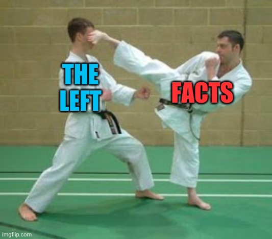 THE LEFT FACTS | made w/ Imgflip meme maker