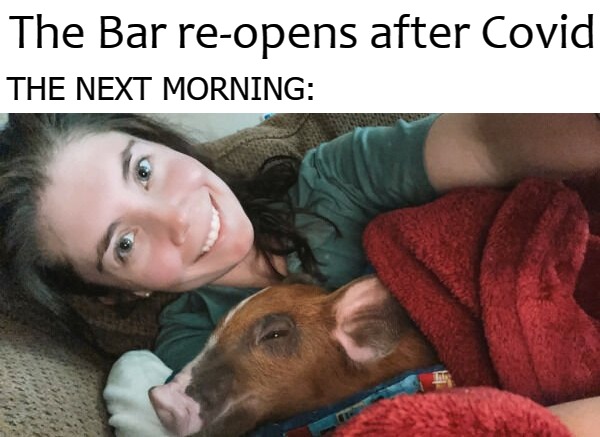 The Bar re-opens after Covid; THE NEXT MORNING: | image tagged in bar | made w/ Imgflip meme maker