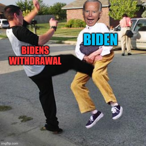 biden kicked in bawls | BIDENS WITHDRAWAL; BIDEN | image tagged in joe biden,kicked | made w/ Imgflip meme maker